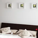 Floral House Ciampino-Roma