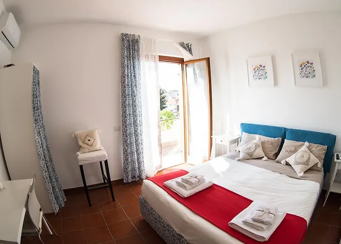 Floral House Ciampino-Roma