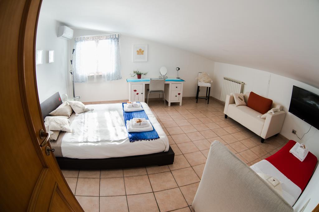 Floral House Ciampino Roma