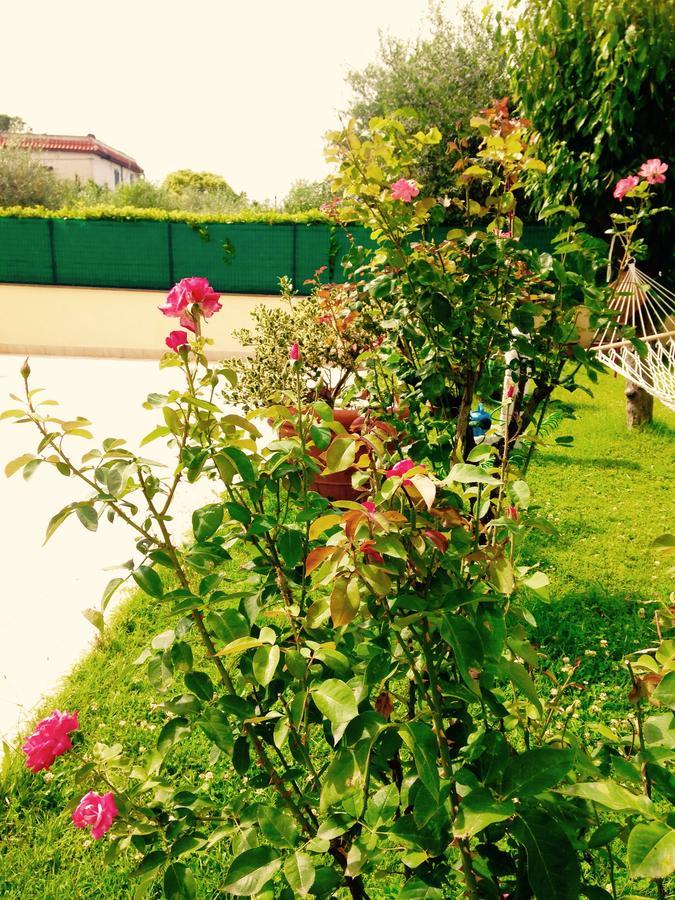 Floral House Ciampino Alloggio in famiglia *